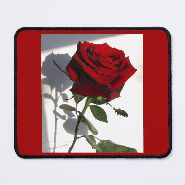 Item preview, Single Red Rose 2 designed and sold by collageDP.