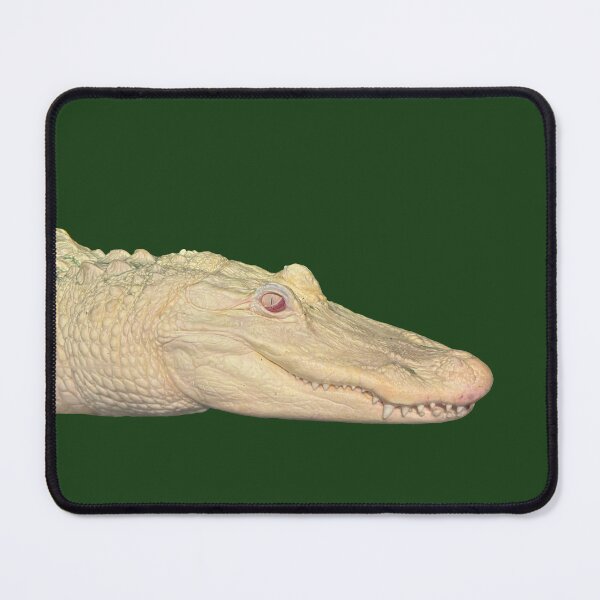Item preview, Albino Alligator designed and sold by redhead-autumn.