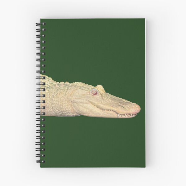 Aperçu de l'œuvre Albinos Alligator créée et vendue par redhead-autumn.