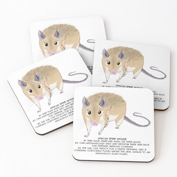 Item preview, African Spiny mouse  designed and sold by LordWolff.