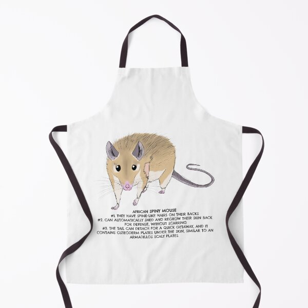 Item preview, African Spiny mouse designed and sold by LordWolff.