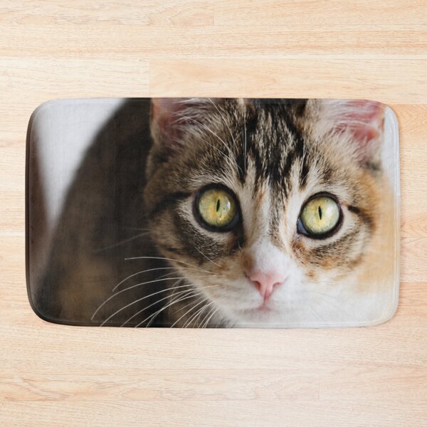 Item preview, Curious Kitten designed and sold by Kimberly Palmer.