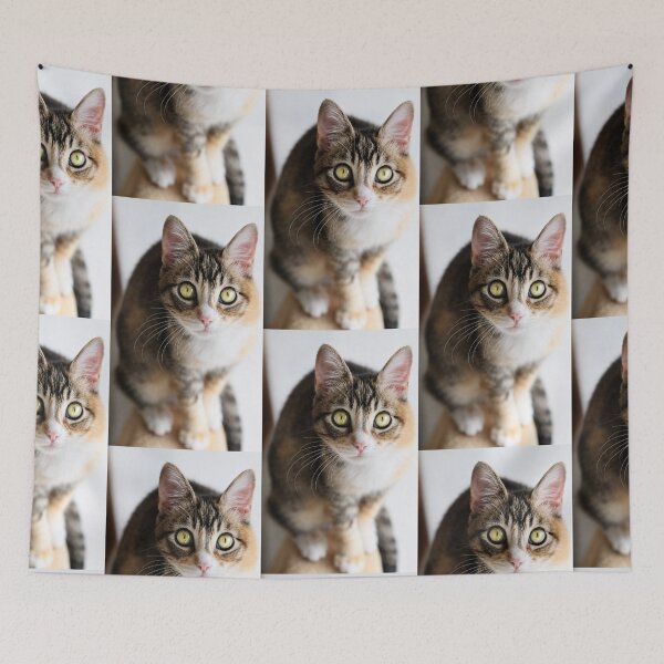 Item preview, Curious Kitten designed and sold by Kimberly Palmer.