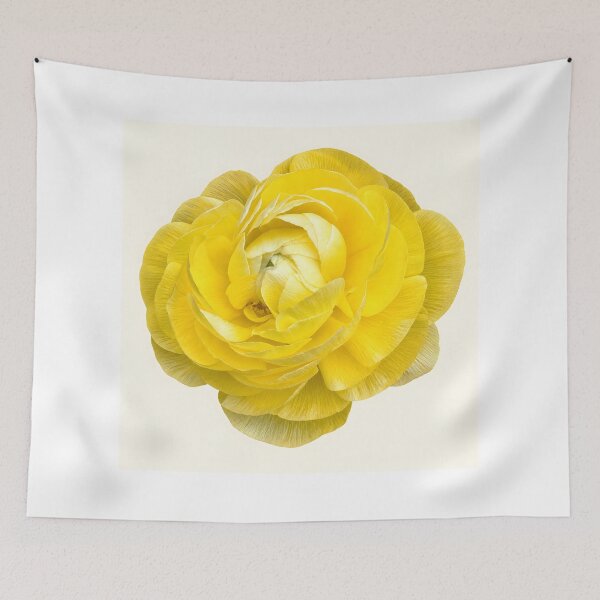 Item preview, Golden Ranunculus Flower Botanical Art designed and sold by Violafleurviolett.