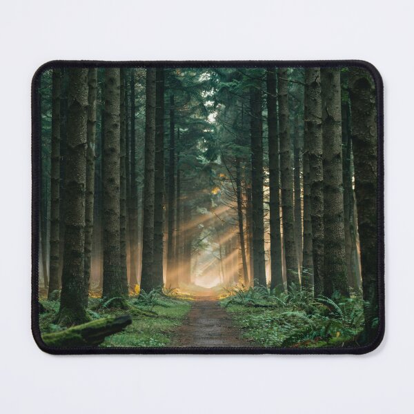 Item preview, Forest Path Serenity – Sunlit Nature Trail Photography designed and sold by Gabe1983.