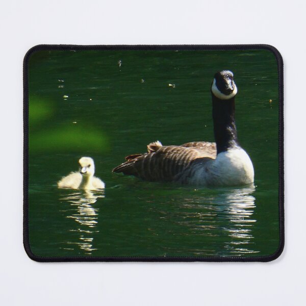 Item preview, Goose and gosling designed and sold by SarahJones6.