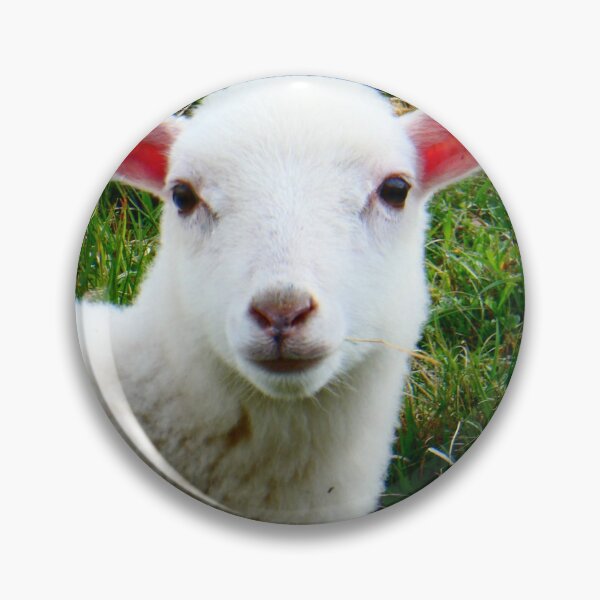 Item preview, Lamb designed and sold by SarahJones6.