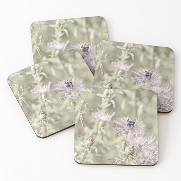 Item preview, Bee on Spotted Knapweed designed and sold by Brooke T Ryan Photographic Art.