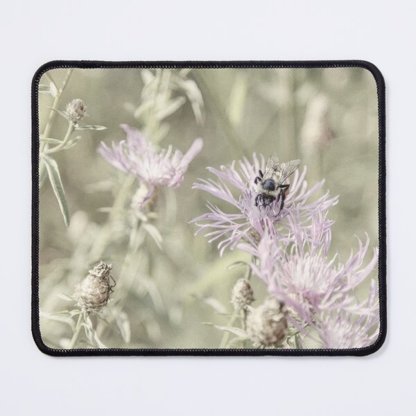 Item preview, Bee on Spotted Knapweed designed and sold by Brooke T Ryan Photographic Art.