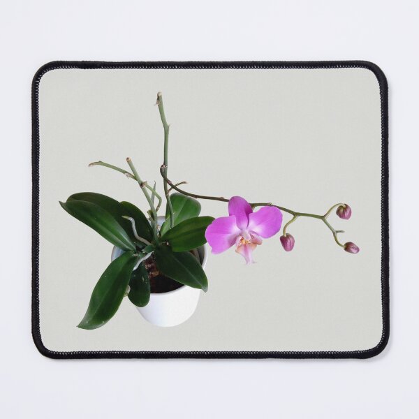 Item preview, Purple phalaenopsis orchid 2 original artwork designed and sold by paragonDesign28.