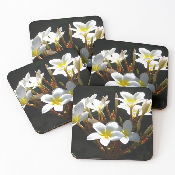 Item preview, White Plumeria in Light and Shadow designed and sold by JoyousArt4u.