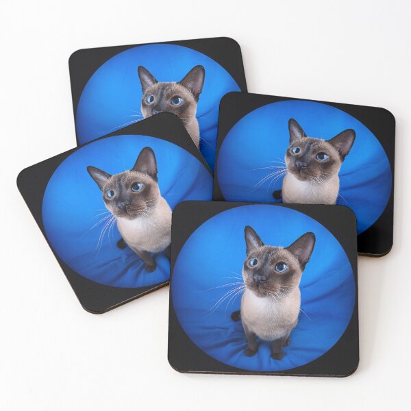 Item preview, Feline - Cobalt Night Gaze of the Tonkinese designed and sold by mrpropcake.