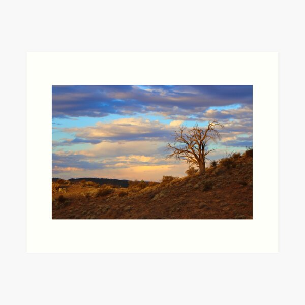 Item preview, Lone tree at sunset designed and sold by FranWest.