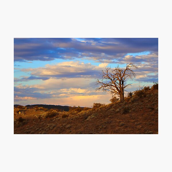 Item preview, Lone tree at sunset designed and sold by FranWest.