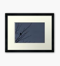 Little Black Bird Series: Blue Framed Print