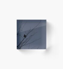 Little Black Bird Series: Blue Acrylic Block
