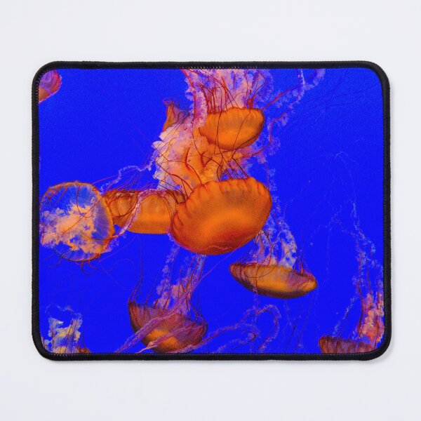 Item preview, Jellyfish Swarm | Ocean Life Underwater Photography designed and sold by TheHikersEye.