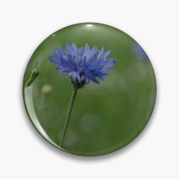 Item preview, Blue wild flower depth of field designed and sold by RDphotography92.