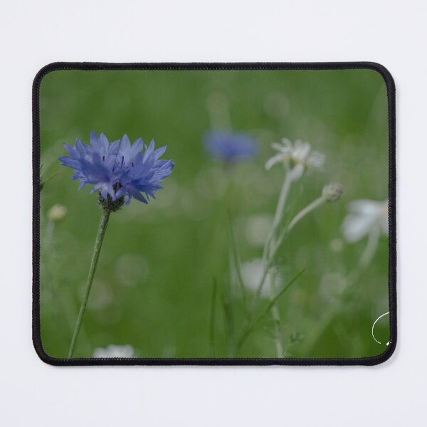 Item preview, Blue wild flower depth of field designed and sold by RDphotography92.