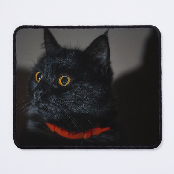 Item preview, Wide Eyed Black Cat in Red Collar designed and sold by EllenNortt.