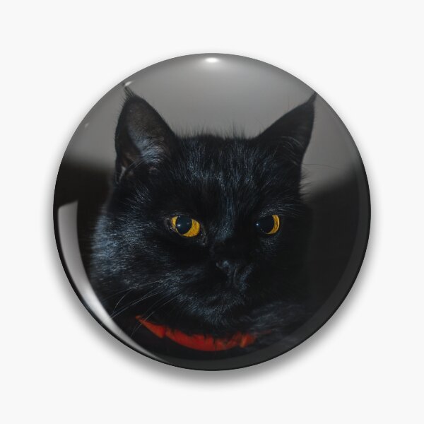 Item preview, Black Cat Portrait in Moody Light designed and sold by EllenNortt.