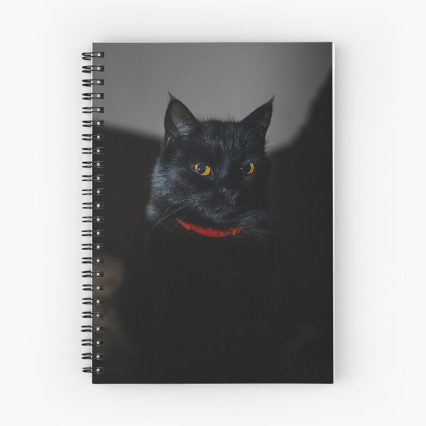 Item preview, Black Cat Portrait in Moody Light designed and sold by EllenNortt.