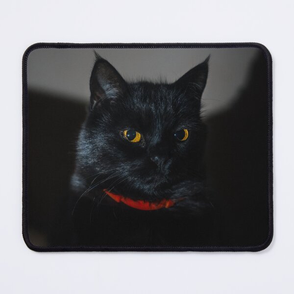 Item preview, Black Cat Portrait in Moody Light designed and sold by EllenNortt.
