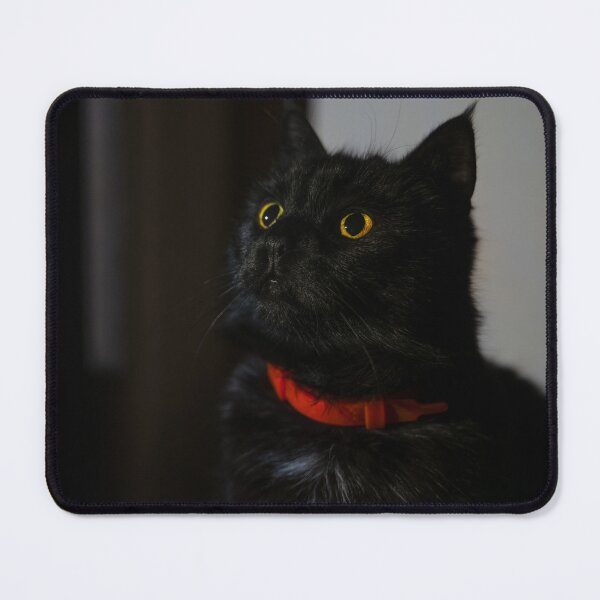 Item preview, Curious Black Cat in Low Key Light designed and sold by EllenNortt.