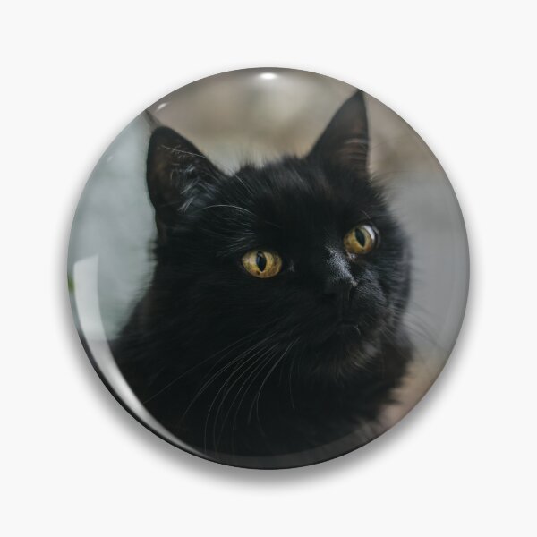 Item preview, Fluffy Black Cat and Green Leaves designed and sold by EllenNortt.