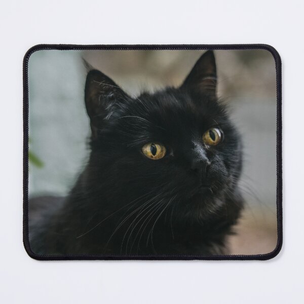 Item preview, Fluffy Black Cat and Green Leaves designed and sold by EllenNortt.