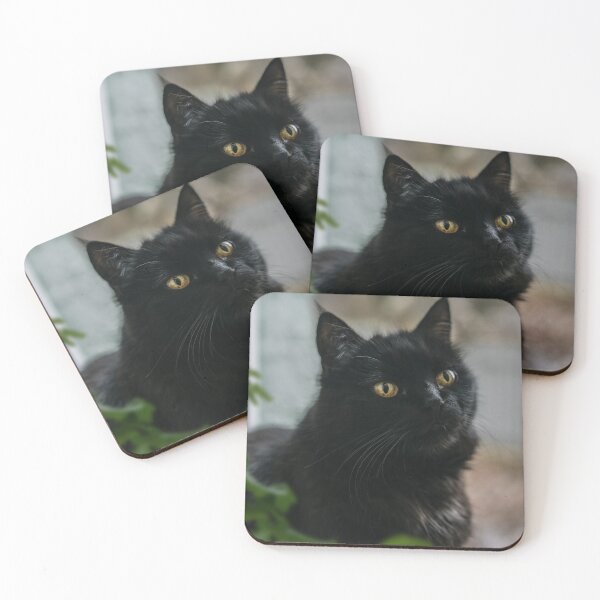 Item preview, Fluffy Black Cat and Green Leaves designed and sold by EllenNortt.