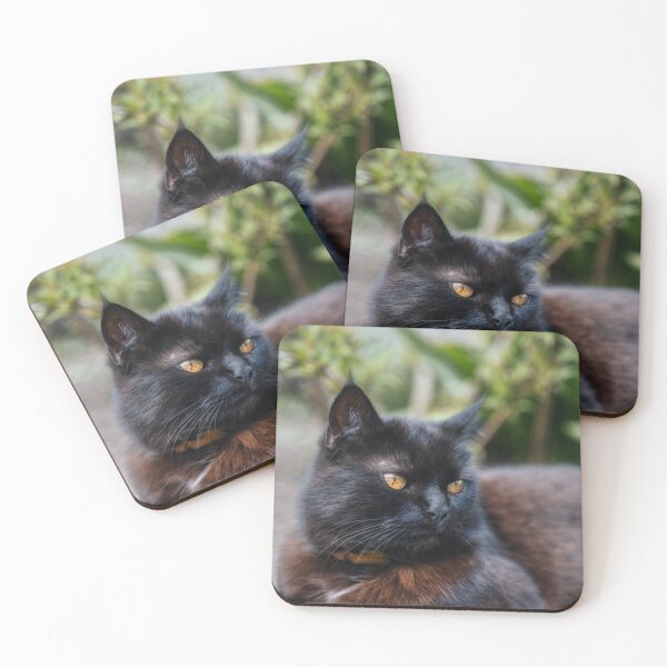 Item preview, Fluffy Black Cat with Golden Eyes designed and sold by EllenNortt.