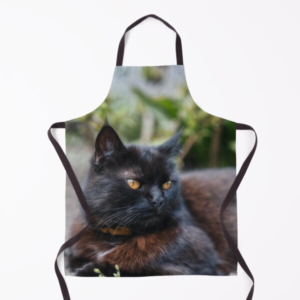Item preview, Fluffy Black Cat with Golden Eyes designed and sold by EllenNortt.
