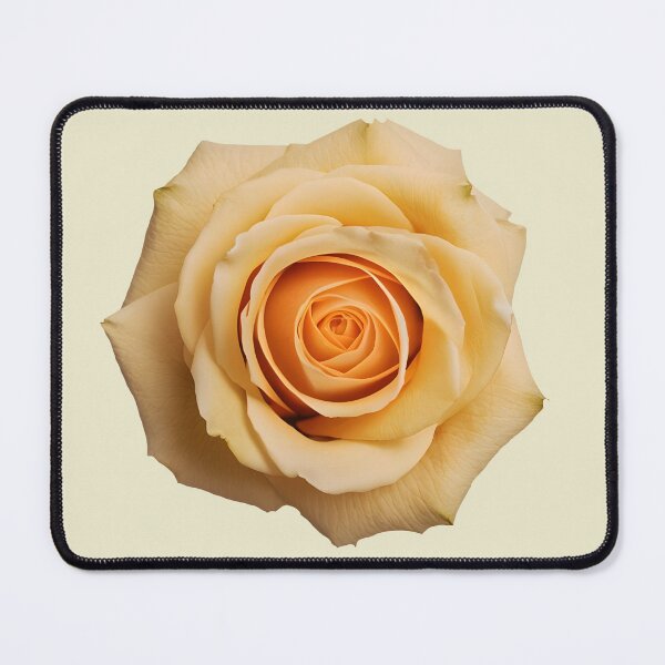 Item preview, Yellow Rose Bloom – Open Fragrant Flower Cutout designed and sold by EmeraldeaArt.
