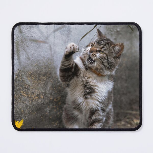 Item preview, Playful Tabby Cat Catching a Branch designed and sold by EllenNortt.