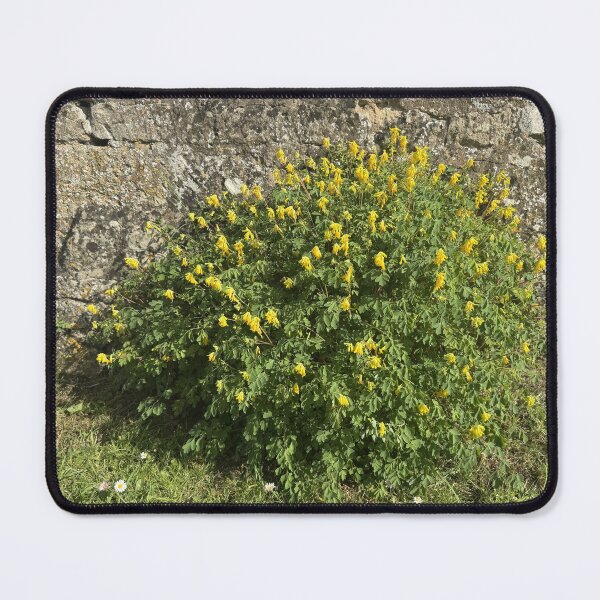Item preview, Cotswold Countryside 76 designed and sold by Pretty Cotswold Designs.