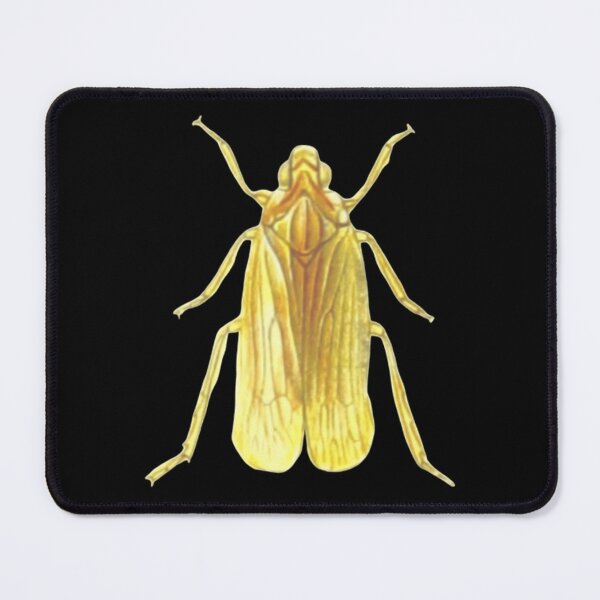 Item preview, Golden Beetle | Elegant Gold & Black Aesthetic designed and sold by Rawafi Art Studio.