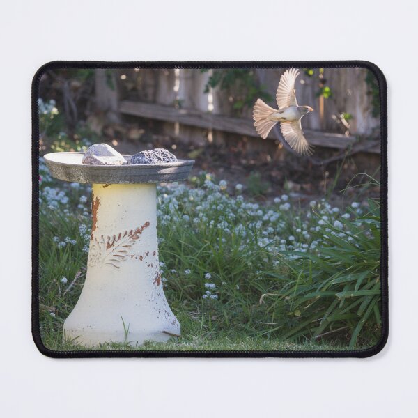 Item preview, Bird Flying in Beautiful Lighting designed and sold by CarolM.