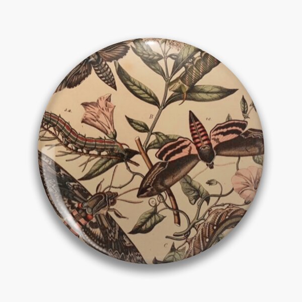 Item preview, Sphinx Moths designed and sold by Cyrus Moth.