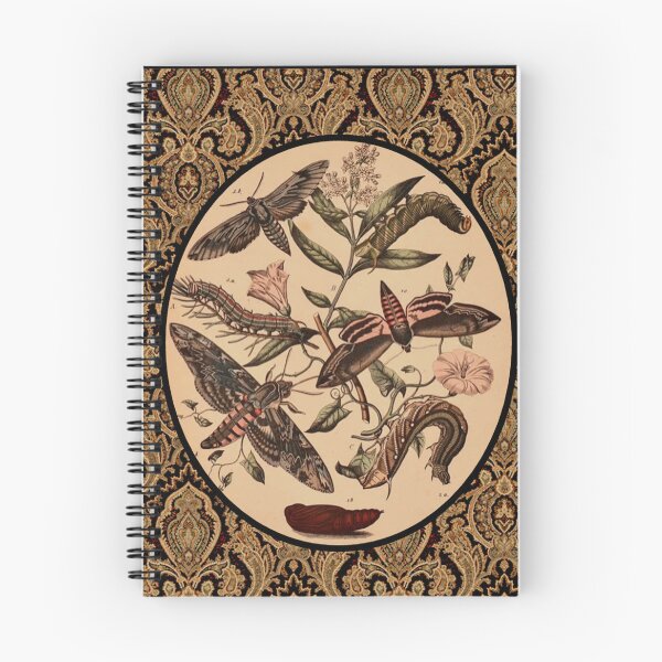 Item preview, Sphinx Moths designed and sold by Cyrus Moth.