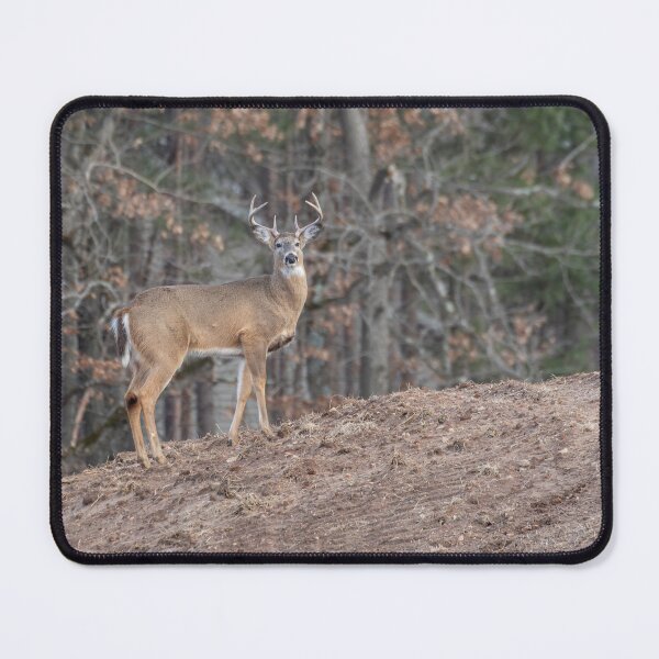 Item preview, White-tailed Buck on a hill 3-2-2026 designed and sold by Thomasyoung.