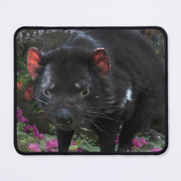 Item preview, TASSIE DEVIL, FUN QUOTE FOR T-SHIRTS, JUST A LITTLE DEVIL designed and sold by Barbara Jean Photo Art And Design.
