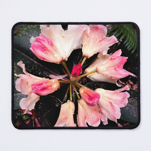 Item preview, Rhododendron designed and sold by Cyrus Moth.