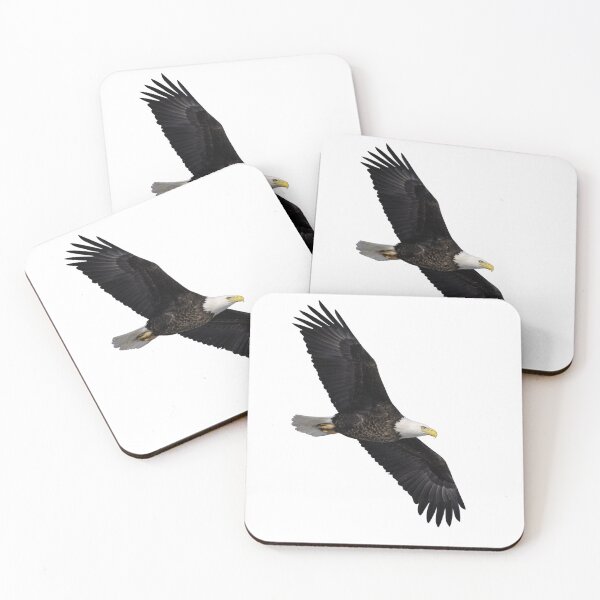 Item preview, Isolated Bald Eagle 1-28-2026 designed and sold by Thomasyoung.