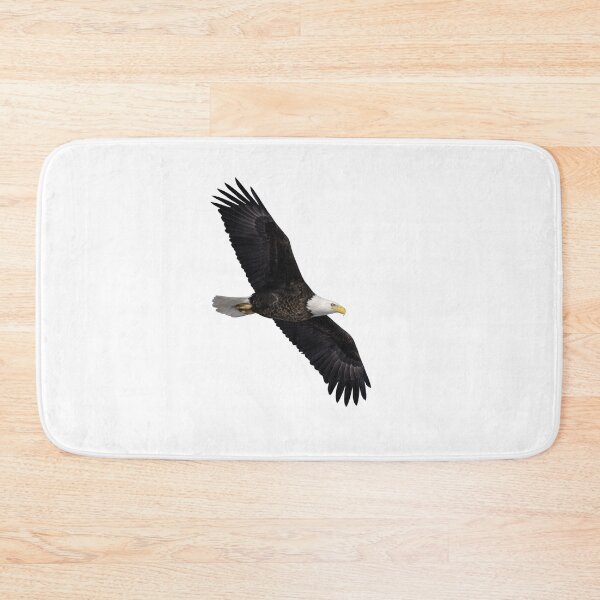 Item preview, Isolated Bald Eagle 1-28-2026 designed and sold by Thomasyoung.