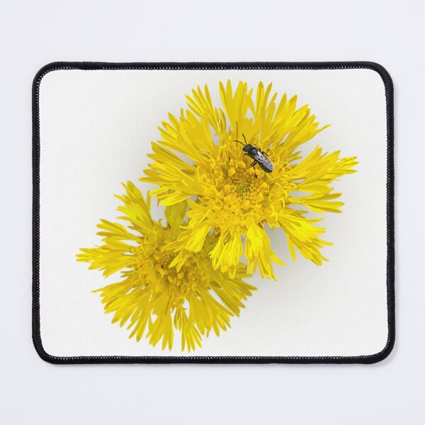 Item preview, Daisy designed and sold by Nipaluna Portraits.