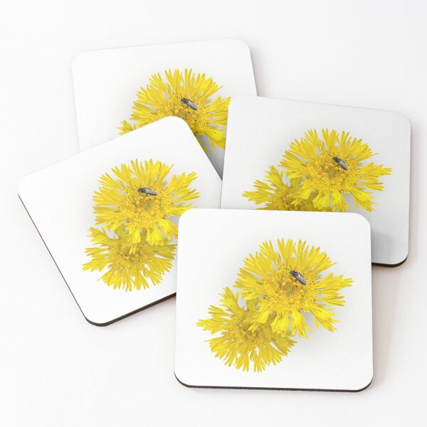 Item preview, Daisy designed and sold by Nipaluna Portraits.