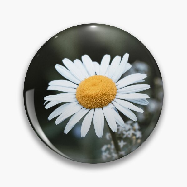 Item preview, Daisy Flower designed and sold by HectorCantres.