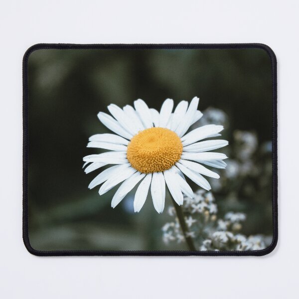 Item preview, Daisy Flower designed and sold by HectorCantres.