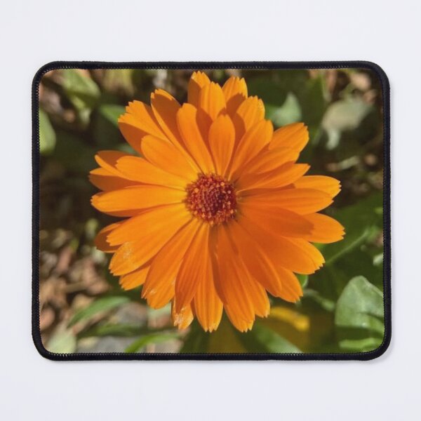 Item preview, Orange Marigold flower designed and sold by irisArtts.